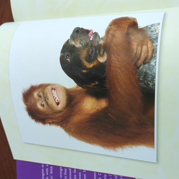 3/$20🌟 Suryia & Roscoe: The True Story of an Unlikely Friendship Hardcover Book - Picture 5 of 9